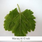 Dimah – http://www.orangeblossomwater.net Waraq Al-Enab